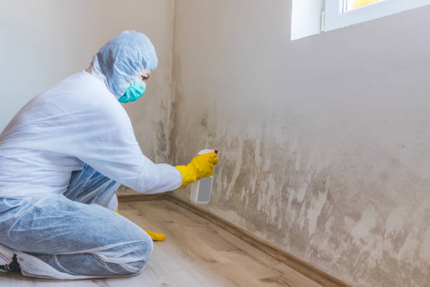 Hvac And Air Duct Mold Remediation inspection of HVAC system in Newtown Square