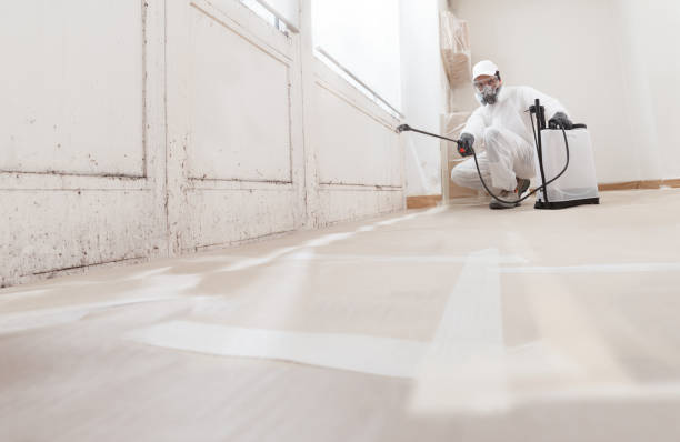 Black mold remediation team in Newtown Square