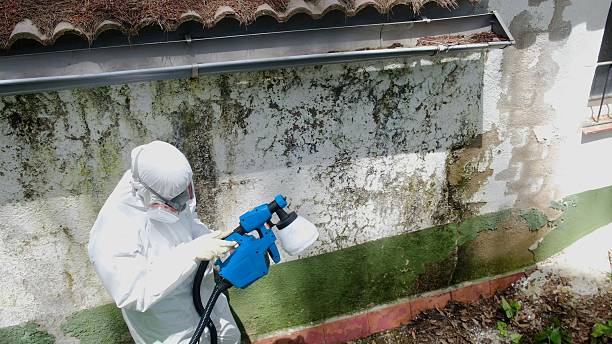 Mold Remediation service in Newtown Square, Newtown Square, PA